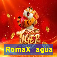 RomaX agua sanitaria fispq agua sanitaria romax